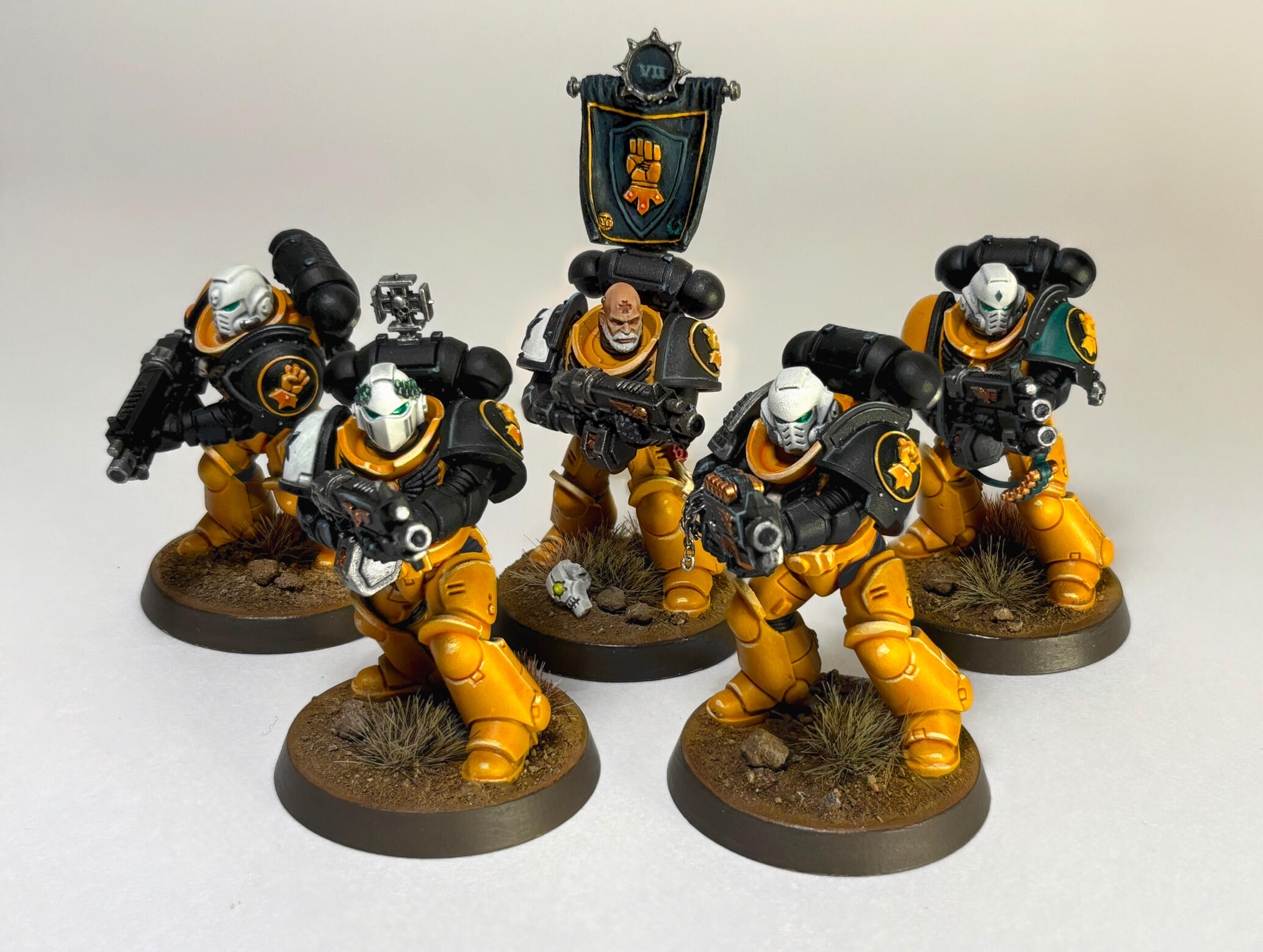 Veteran Imperial Fists